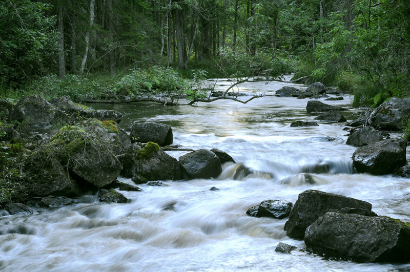 gallery/Testeboån 061_FrSt_red_1000px